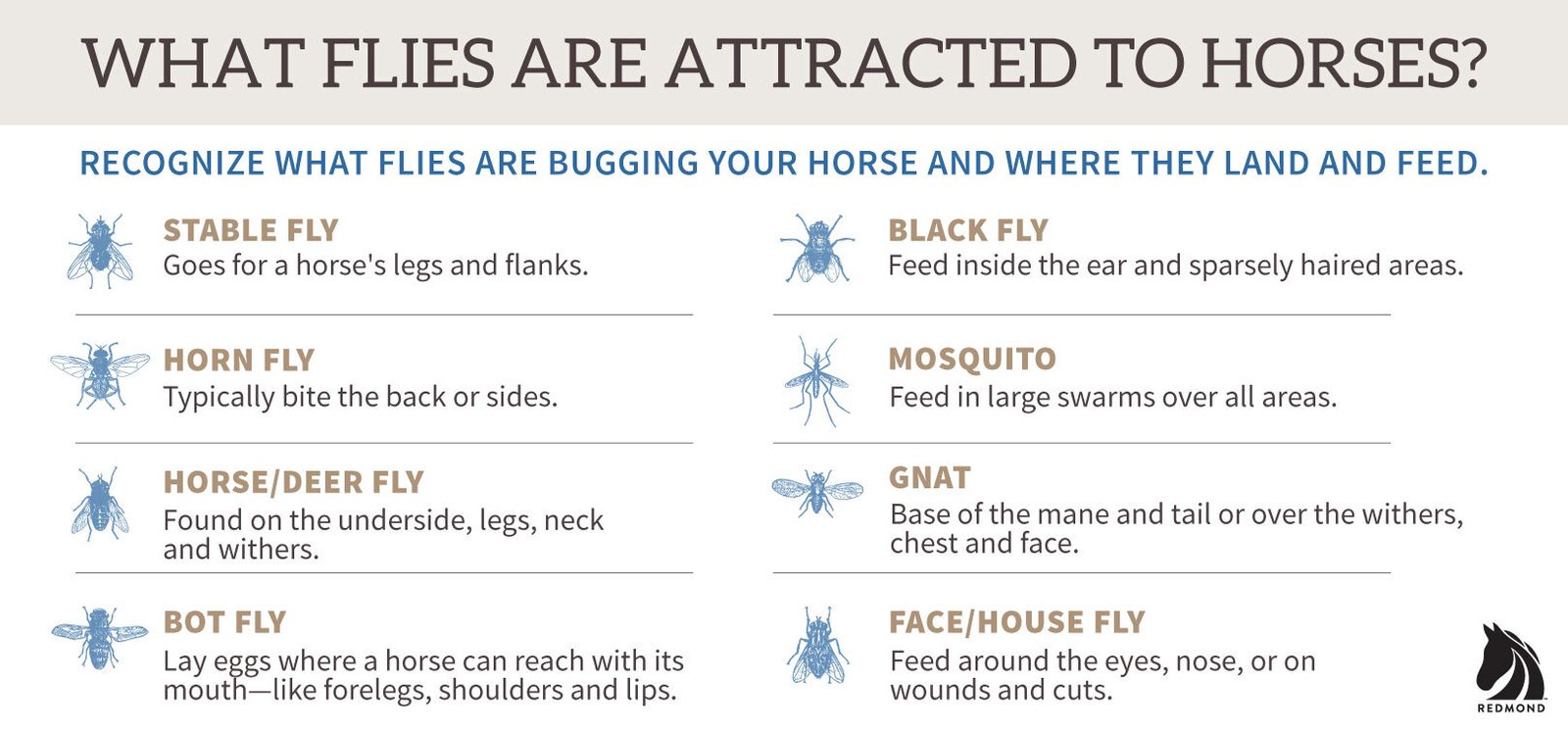 How To Keep Horse Flies Off Horses